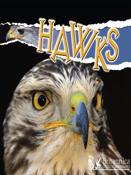 Title details for Hawks by Julie K. Lundgren - Available